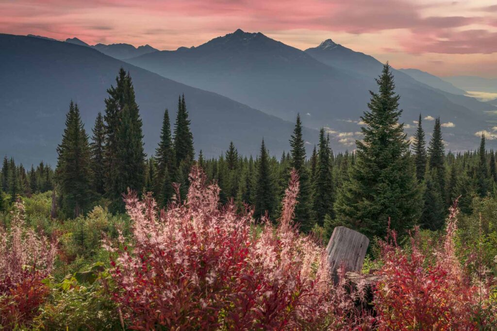 Best Things to do in Revelstoke, BC - Besides Skiing